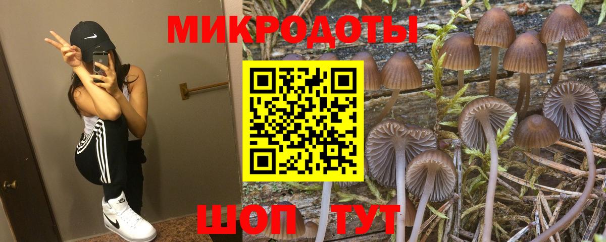 Черняховск  Псилоцибиновые грибы прущие грибы  Псилоцибиновые грибы мухоморы  Вход с VPN 