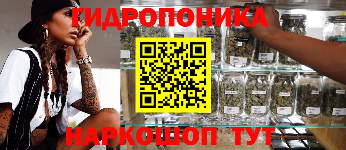 Марихуана план  Бошки марихуана индика  Марихуана OG Kush  Вход с VPN  Черняховск 
